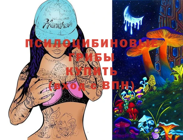 молекула духа Кодинск