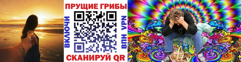 как найти закладки  Ейск  shop состав  Псилоцибиновые грибы Psilocybine cubensis 
